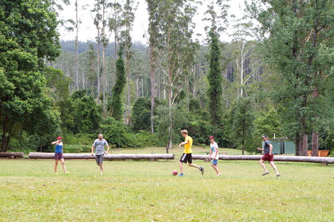 Kerewong State Forest - ACT Tourism 1
