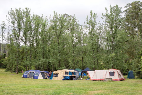 Kerewong State Forest - ACT Tourism 2