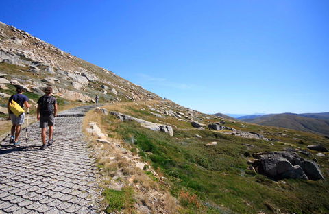 Kosciuszko Walk - Thredbo To Mount Kosciuszko - ACT Tourism 0