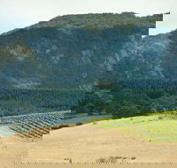 Langi Ghiran State Park - ACT Tourism