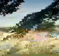 Lysterfield Park - ACT Tourism