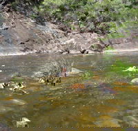Mount Boss State Forest - ACT Tourism