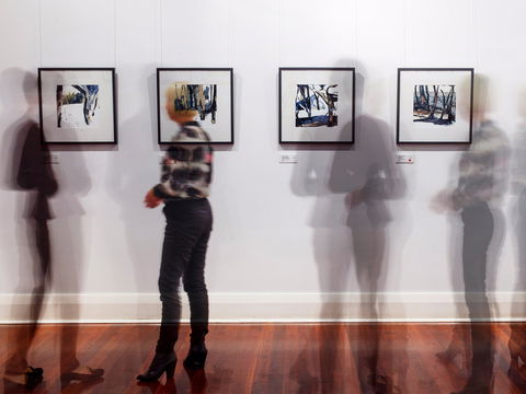 Northern Rivers Community Gallery - ACT Tourism 0