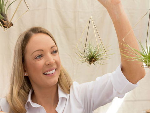 Old Bus Depot Markets - ACT Tourism 1