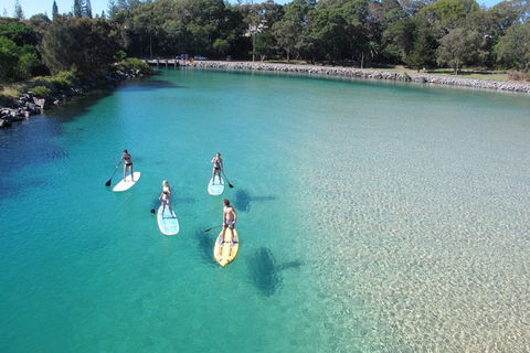 Paddleboard At Back Creek South West Rocks - ACT Tourism 0