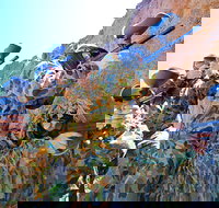 Paintball Albury Wodonga - ACT Tourism