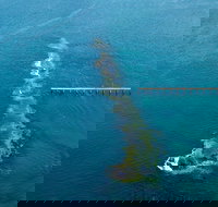 Port Noarlunga Reef Sanctuary Zone - Encounter Marine Park - ACT Tourism