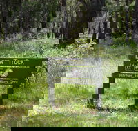 Ritchie's Hut - ACT Tourism