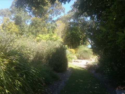 Shoalhaven Heads Native Botanic Garden - ACT Tourism 2