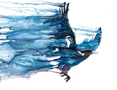 Sluga Gallery - ACT Tourism 1