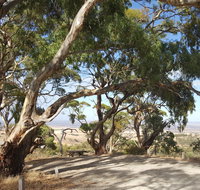 Spring Gully Conservation Park - ACT Tourism