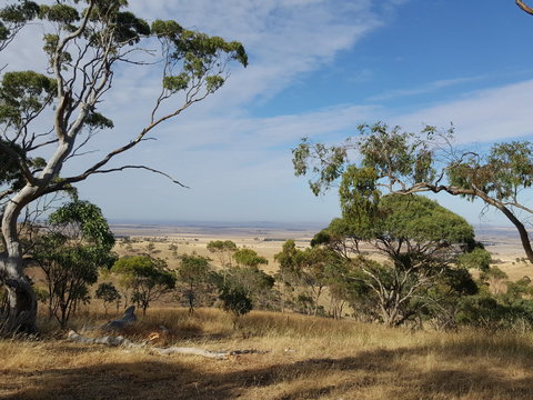 Spring Gully Conservation Park - ACT Tourism 1