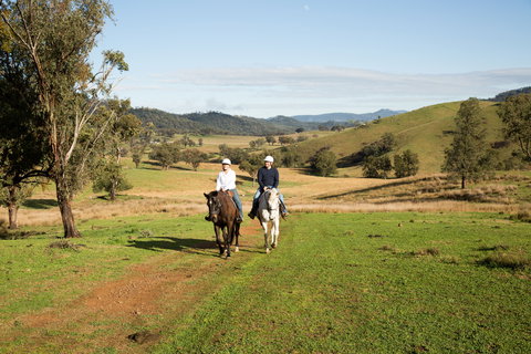 Tamworth And Kootingal Horse Riding Adventures - ACT Tourism 0