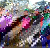 The Saddle Camp - ACT Tourism