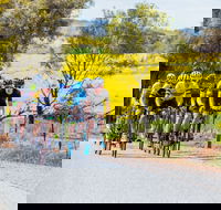 The Heron's Highway - Avon River Cycle Trail - ACT Tourism