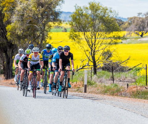 The West Side Story - Avon River Cycle Trail - ACT Tourism 1