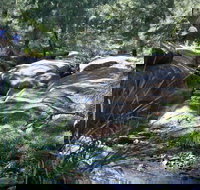 Towarri National Park - ACT Tourism