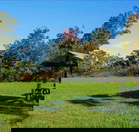 Tunks Hill picnic area - ACT Tourism