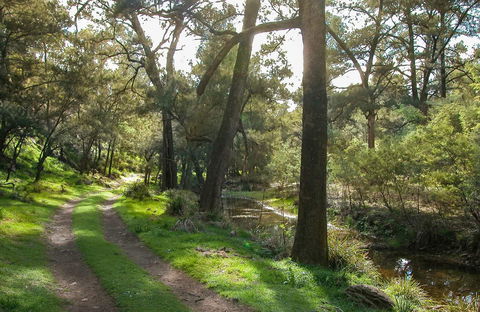 Turon National Park - ACT Tourism 0