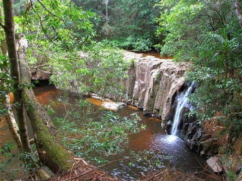Waitui Falls - ACT Tourism 0