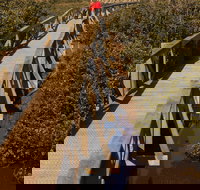 Warringine Park  Bittern Coastal Wetlands Boardwalk - ACT Tourism