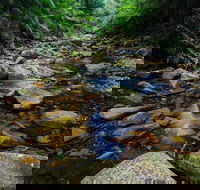 Willi Willi - ACT Tourism