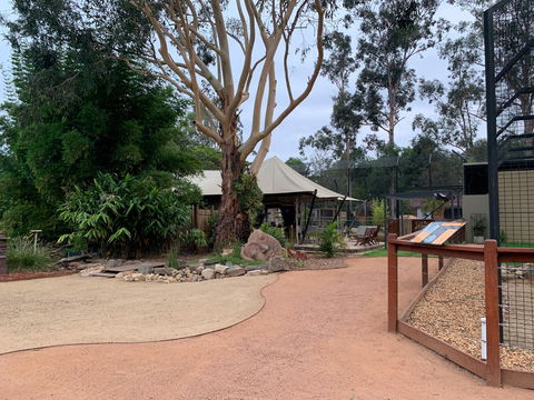 Zambi Wildlife Retreat - ACT Tourism 2