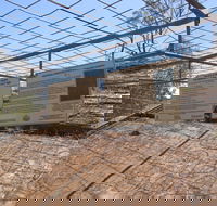 Aboriginal Carvings - ACT Tourism