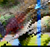 Apex Park Moree - ACT Tourism