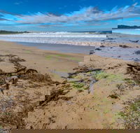 Avenue Beach - ACT Tourism