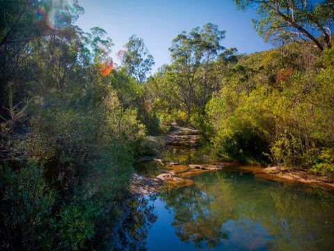 Bargo State Conservation Area - ACT Tourism 0