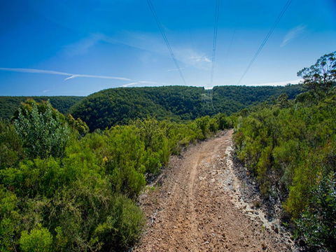Bargo State Conservation Area - ACT Tourism 1