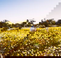 Best of the Coral Coast - ACT Tourism