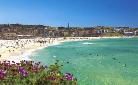 Bondi - ACT Tourism 0