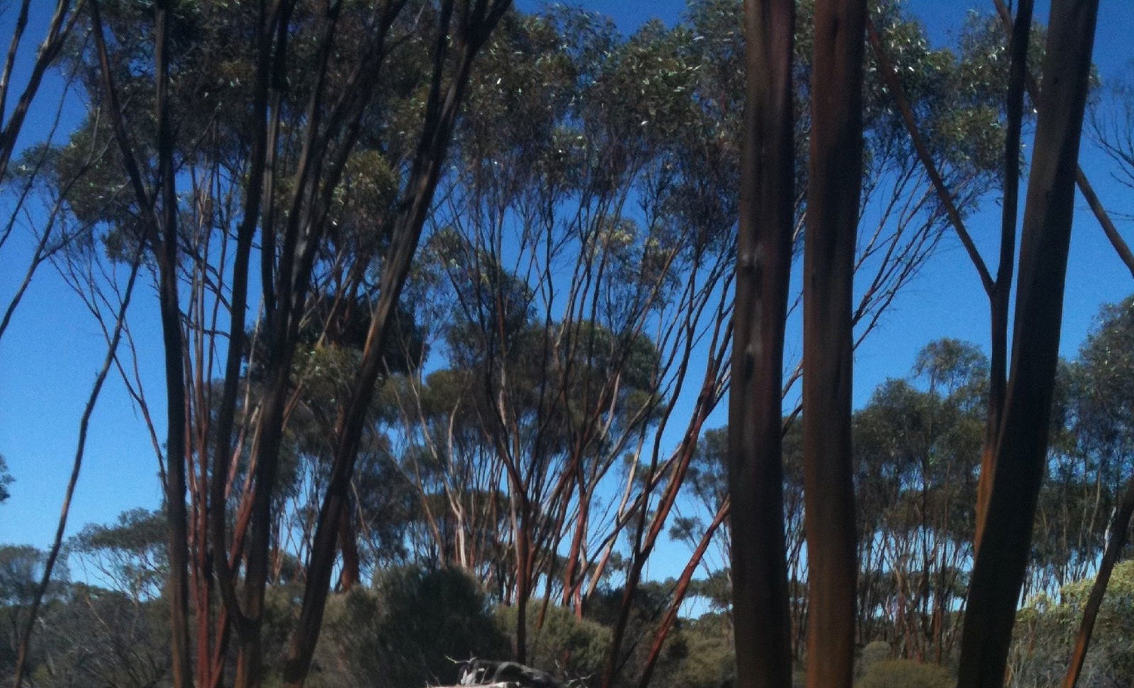 Boorabbin WA ACT Tourism