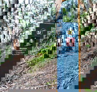 Bulahdelah Mountain Aboriginal Place - ACT Tourism