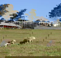 Calmsley Hill City Farm - ACT Tourism
