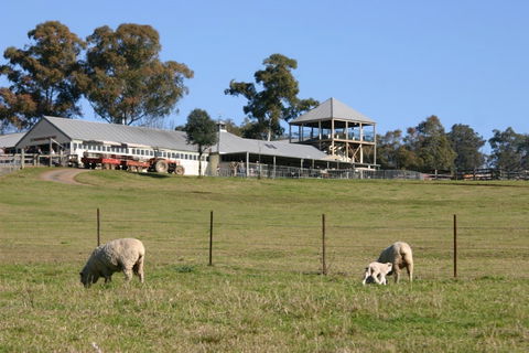 Calmsley Hill City Farm - ACT Tourism 0