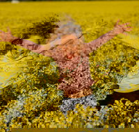 Canola Trail - ACT Tourism