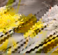 Cataby - ACT Tourism