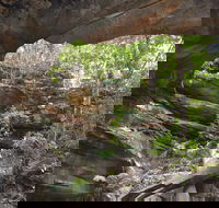 Cave Creek Walking Track - ACT Tourism