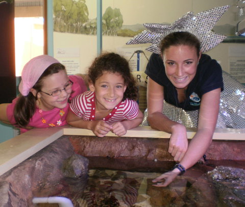 Central Coast Marine Discovery Centre - ACT Tourism 0
