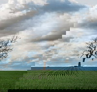 Clare Valley - ACT Tourism