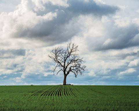 Clare Valley - ACT Tourism 0