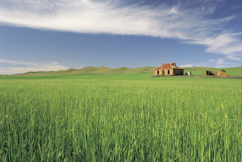 Clare Valley - ACT Tourism 1