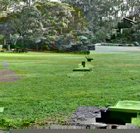 Cottonwood Glen Picnic Area - ACT Tourism