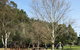 Curry Reserve - thumb 1
