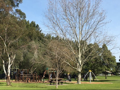 Curry Reserve - ACT Tourism 1