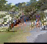 Dayboro - ACT Tourism