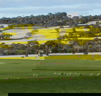 Fini Olives - ACT Tourism